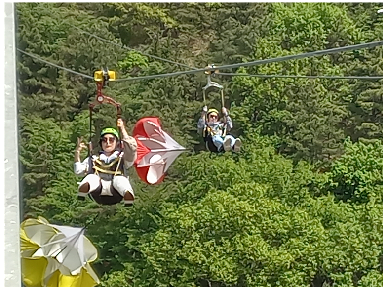 fbcbd8ad9e0a389c73f510950febdf16_1713859676_13.png fbcbd8ad9e0a389c73f510950febdf16_1713859676_13.png